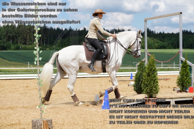 s_K3F06337.JPG